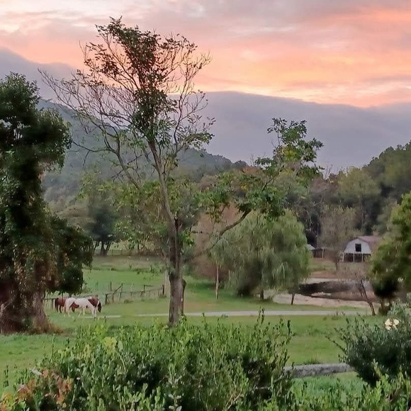 Unlisted Show Items 
Any unlisted Show Items!!! - Picture 6 of 14